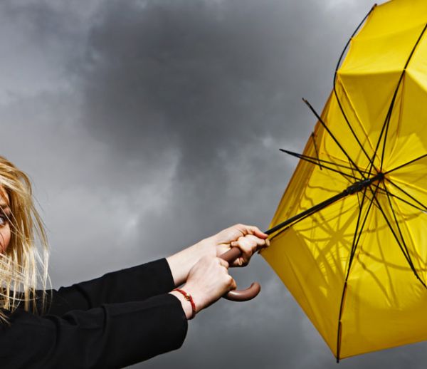 Tempête : à quelles indemnisations avez-vous droit pour votre maison ?