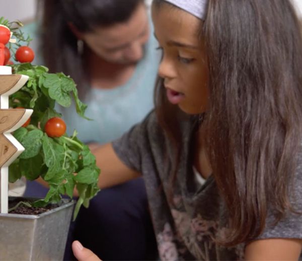 Ce jouet connecté va faire de vos enfants de vrais petits jardiniers