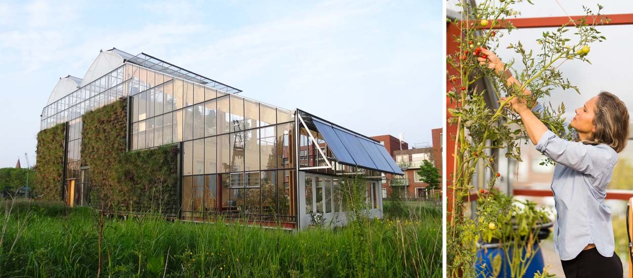 Cette famille teste la vie dans une maison écolo construite à l'intérieur d'une serre