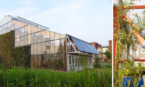 Cette famille teste la vie dans une maison écolo construite à l'intérieur d'une serre