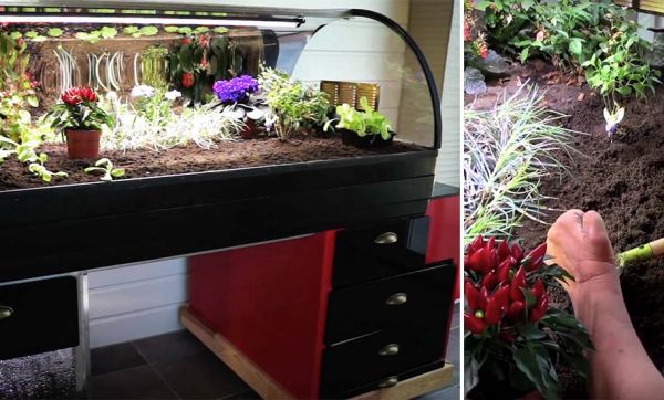 Ce potager pour jardiner assis est parfait pour vos grands-parents !