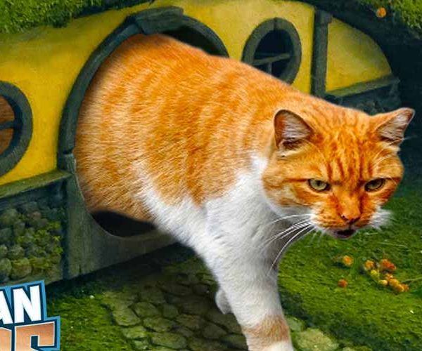 Une maison de hobbit toute mignonne pour que votre chat règne sur la Comté