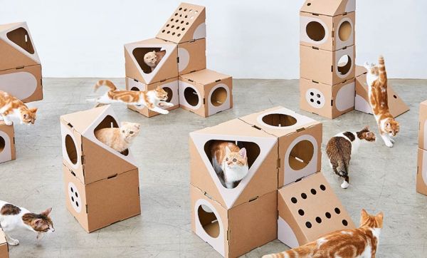 Jeu de construction : Cette maison pour chats est le rêve de tous les matous