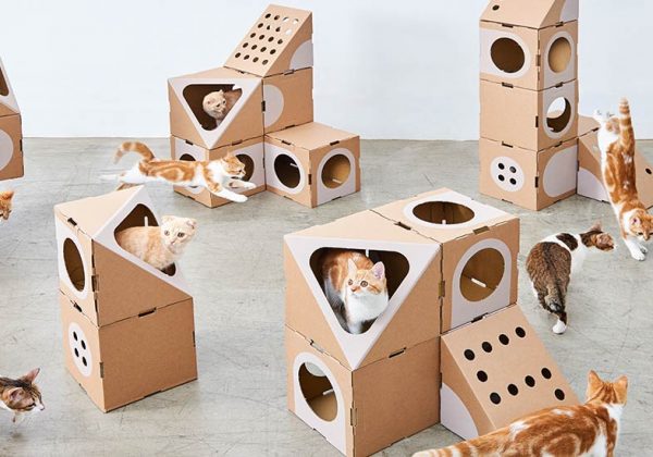 Jeu De Construction Cette Maison Pour Chats Est Le Reve De Tous Les Matous