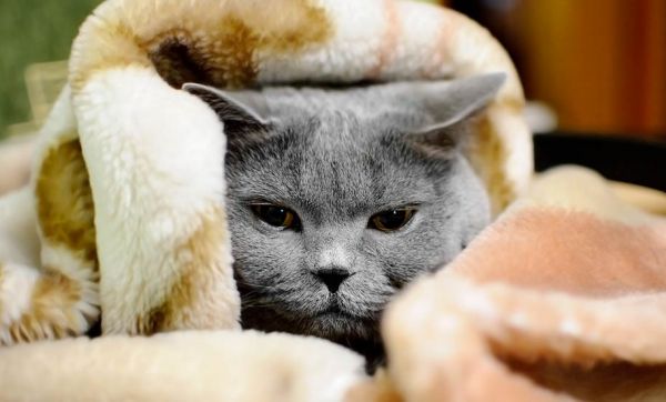 Voici pourquoi vous avez froid chez vous alors que le chauffage est à fond