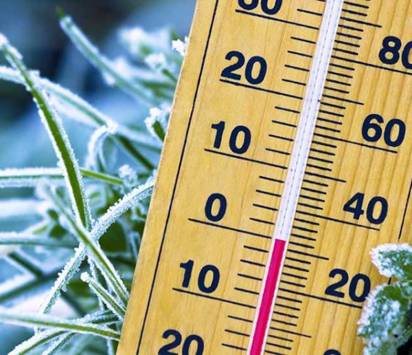 Ce Dégivrant Maison Pour Pare-brise Fait Disparaître la Glace en Quelques  Secondes.