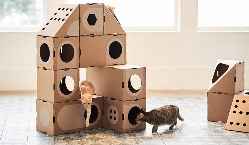 Jeu de construction : Cette maison pour chats est le rêve de tous les ...