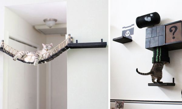 12 parcours géniaux pour votre chat acrobate