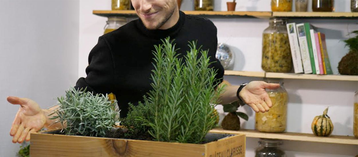 DIY : Fabriquez votre jardin aromatique dans une caisse à vin