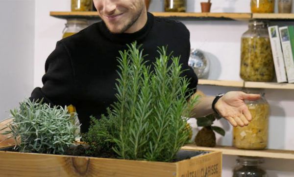 DIY : Fabriquez votre jardin aromatique dans une caisse à vin