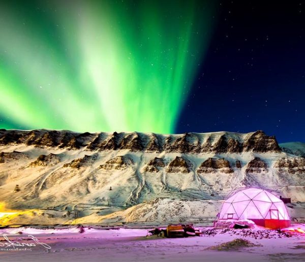 Ce chef cuisinier a quitté la Floride pour faire pousser des légumes en Arctique