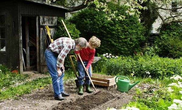 Louez le potager de vos voisins pour cultiver vos légumes et profiter d'un coin de verdure