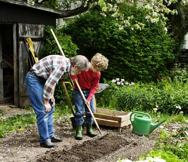 Louez le potager de vos voisins pour cultiver vos légumes et profiter d'un coin de verdure