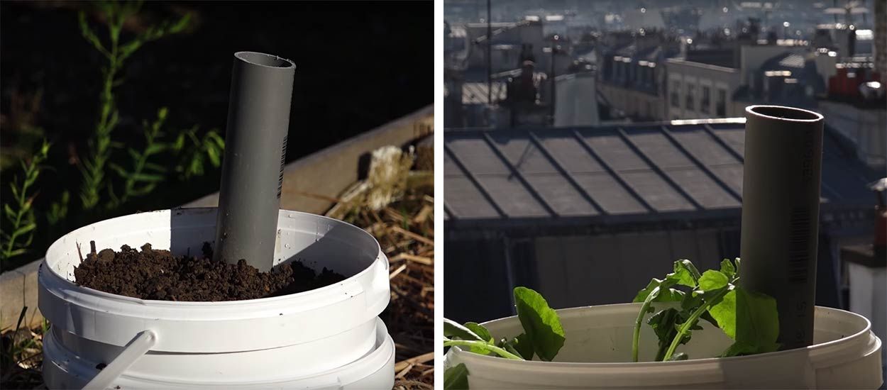 Comment fabriquer une jardinière à partir de seaux recyclés ?