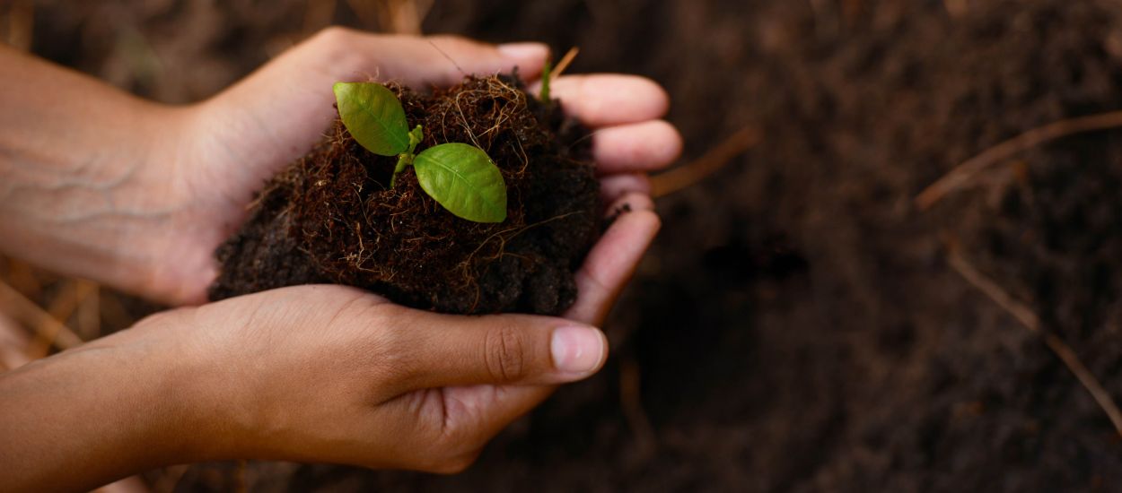 Avis aux passionné-es du jardinage : initiez-vous à la botanique avec ces cours en ligne gratuits