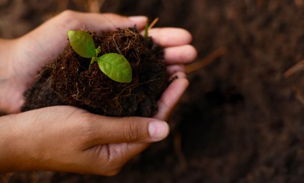 Avis aux passionné-es du jardinage : initiez-vous à la botanique avec ces cours en ligne gratuits