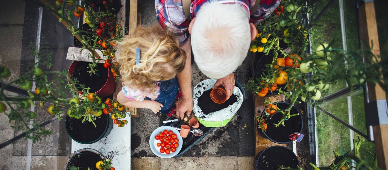 Comment bien réussir vos semis de tomates pour les planter au balcon ?