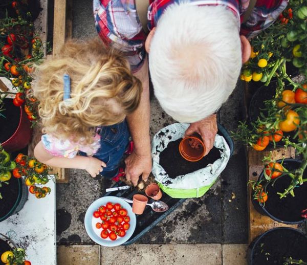 Potager et Permaculture