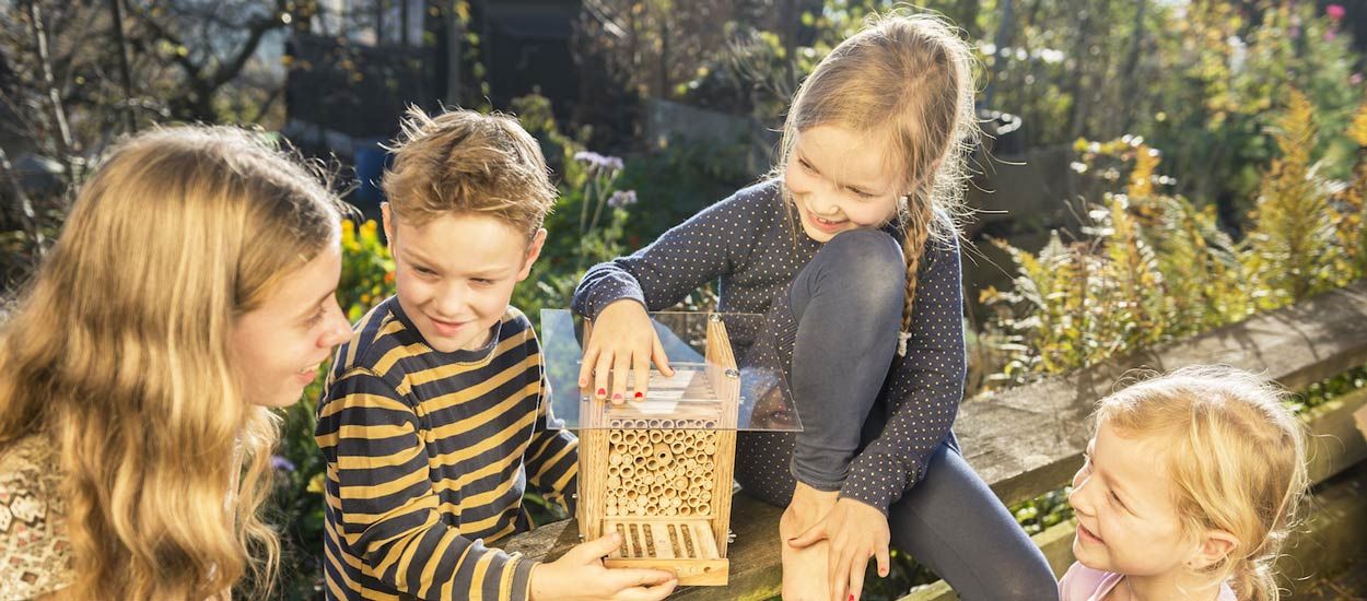 Voici comment installer une maisonnette pour abeilles inoffensives chez vous