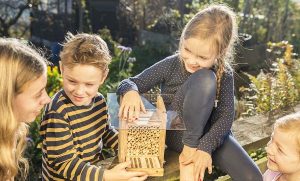 Voici comment installer une maisonnette pour abeilles inoffensives chez vous