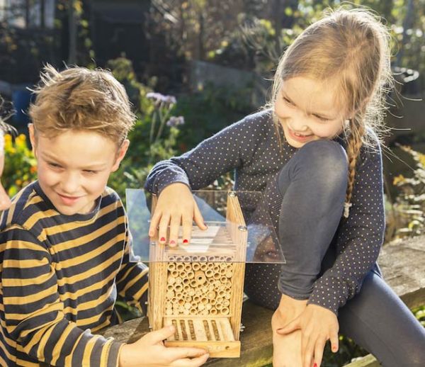 Voici comment installer une maisonnette pour abeilles inoffensives chez vous