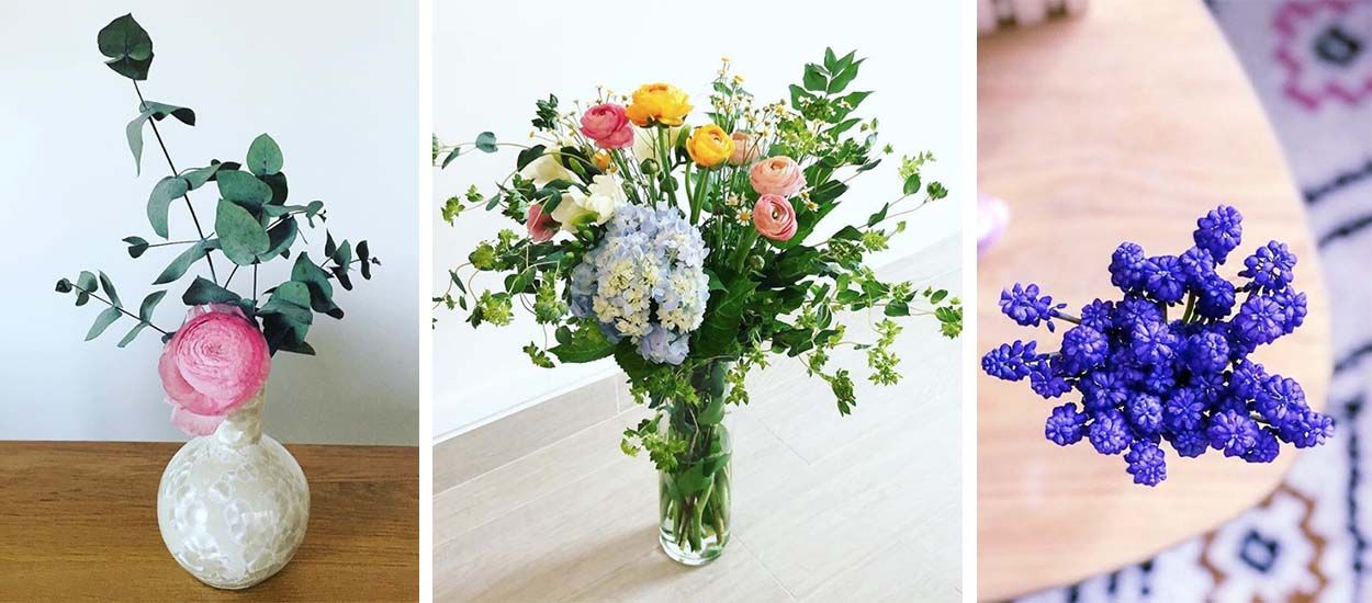 Début du printemps : privilégiez ces 9 fleurs de saison pour décorer votre maison