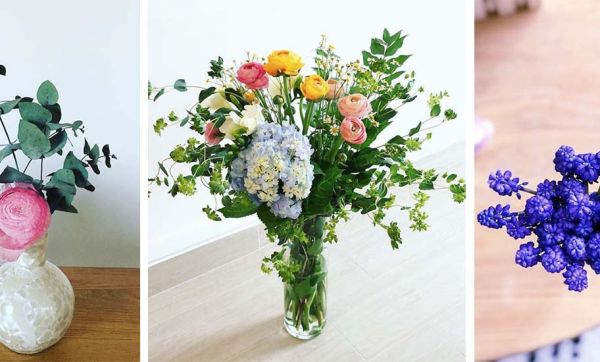Début du printemps : privilégiez ces 9 fleurs de saison pour décorer votre maison