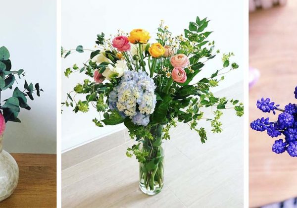 Voici Les Fleurs De Mars 9 Fleurs De Saison à Choisir Au
