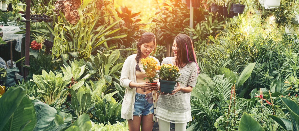 3 choses à vérifier absolument avant d'acheter vos plantes en magasin