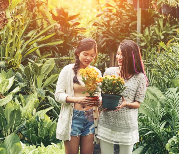 3 choses à vérifier absolument avant d'acheter vos plantes en magasin