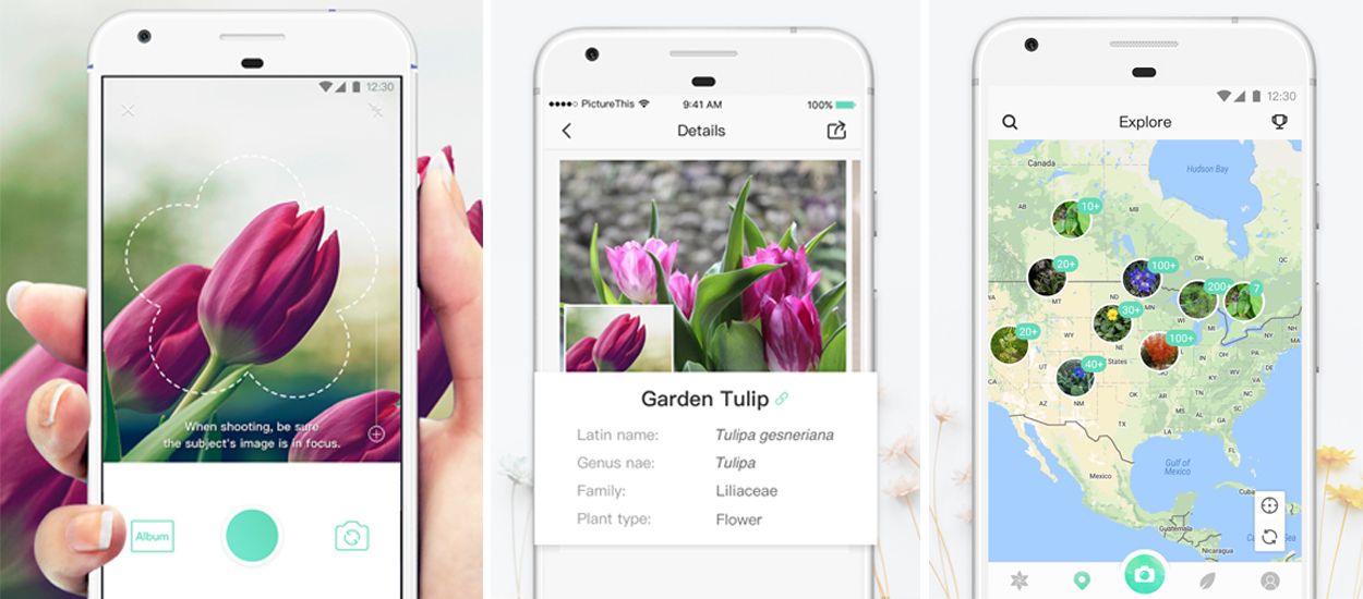 Cette application mobile vous donne le nom de toutes les fleurs que vous prenez en photo !