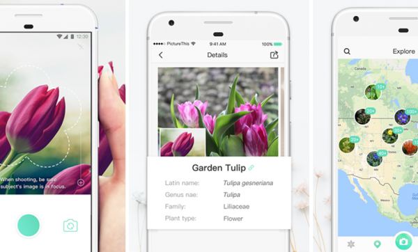 Cette application mobile vous donne le nom de toutes les fleurs que vous prenez en photo !