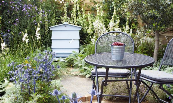 Comment choisir les plantes idéales pour votre jardin ?