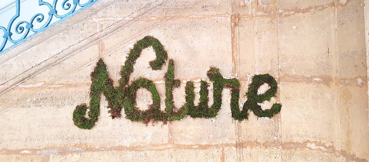 Tuto : Fabriquez un graffiti végétal pour une déco tendance et nature !