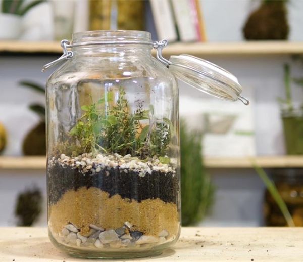 Tuto : Fabriquez un terrarium pour vos aromates !
