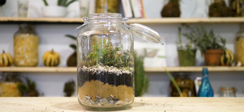 Comment Faire Un Terrarium Café Hermétique Video DIY - Fabriquer un terrarium avec un bocal hermétique pour aromates