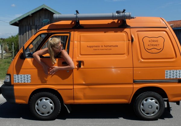van pour voyager