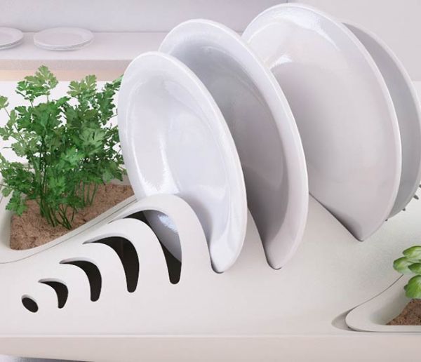 En plus de sécher votre vaisselle, cet égouttoir abreuve vos plantes !