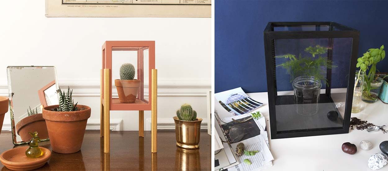 Comment fabriquer une vitrine pour plantes avec des cadres en bois ?