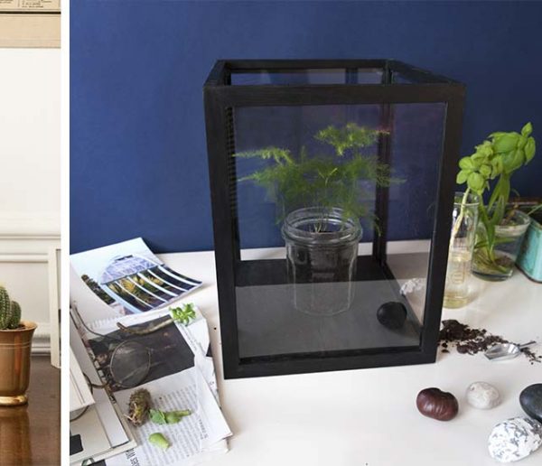 Tuto : Fabriquez votre propre vitrine et sublimez vos plantes pour moins de 10 euros !