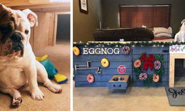 Ils ont créé une incroyable niche toute équipée sous leur lit