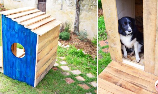 Tuto : Construisez une adorable niche en palettes pour moins de 60 euros