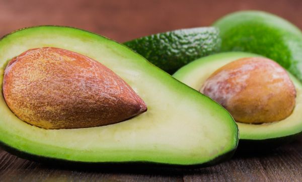 La méthode inratable à suivre pour cultiver des avocats à la maison