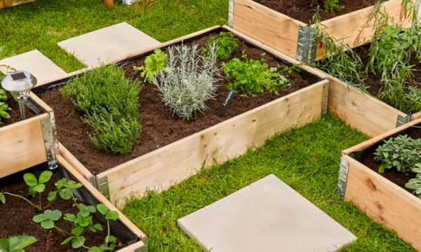 Calendrier du potager : que semer et planter en avril ?