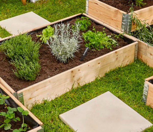 Calendrier du potager : que semer et planter en avril ?