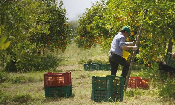 Agriculteurs, artisans, architectes : ils résistent pour sauver leur campagne
