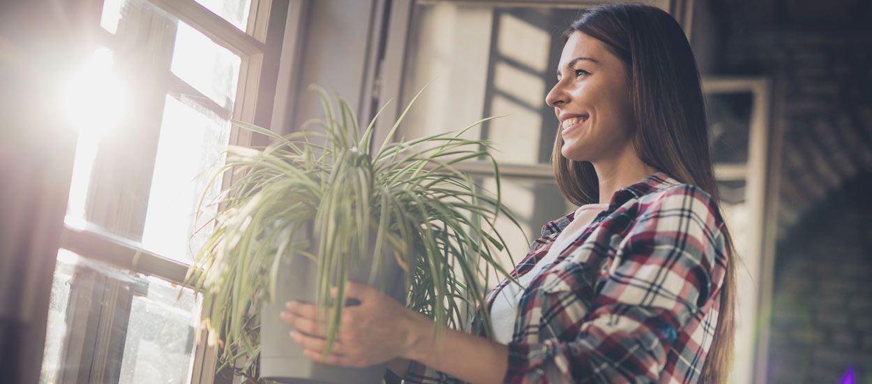 La fin d'un mythe : non, les plantes ne dépolluent pas l'air intérieur de votre maison !