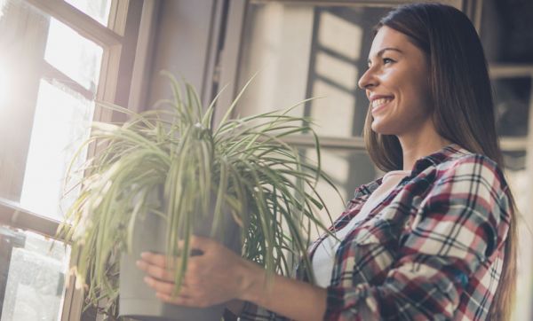 La fin d'un mythe : non, les plantes ne dépolluent pas l'air intérieur de votre maison !