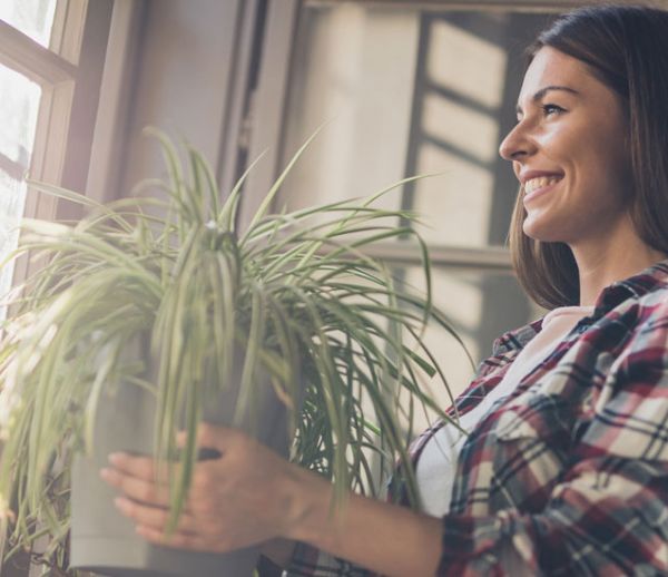 La fin d'un mythe : non, les plantes ne dépolluent pas l'air intérieur de votre maison !