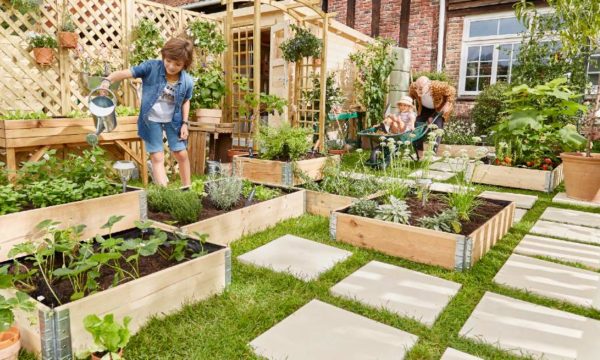 Calendrier du potager : que semer et planter en avril ?